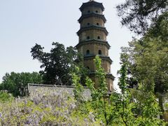 -晋祠公园