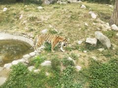 -西安秦岭野生动物园