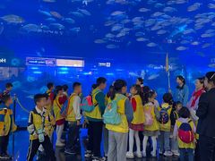 -成都浩海立方海洋公园