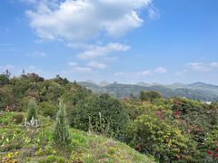 -贵州百里杜鹃风景名胜区