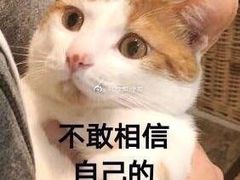 -情妹妹干锅锅(中海国际购物公园店)