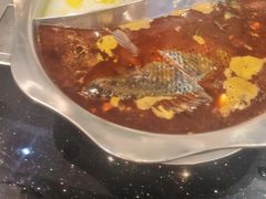 -草墩罗非鱼庄•野生菌•腊排骨(七星街上段店)