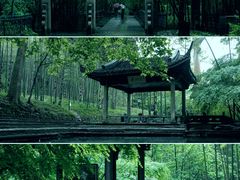 -云栖竹径