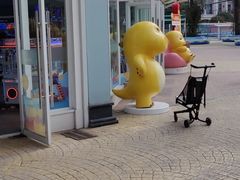 -海合安成都极地海洋公园