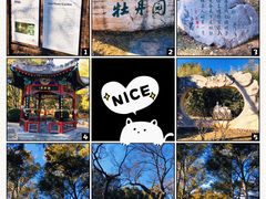 -国家植物园