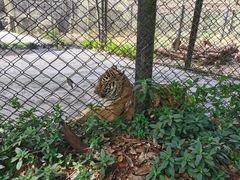 -海南热带野生动植物园