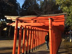 -水前寺成趣园