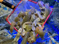 -前王院•巧克力海鲜市集餐厅(万平口店)