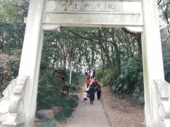 -苏州上方山国家森林公园