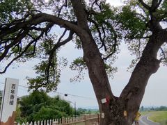 -乌龙涧铁道铁轨景