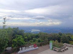 -东莞市大岭山森林公园
