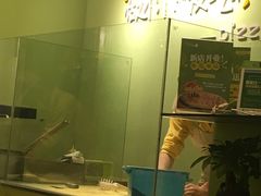 -沫汐披萨(白象街店)
