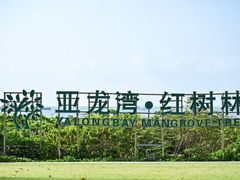 -三亚亚龙湾红树林度假酒店