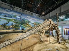 -自贡恐龙博物馆