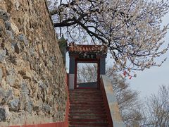 -圣莲山风景区
