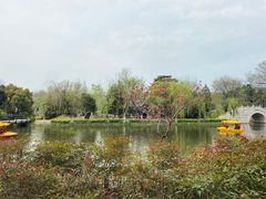 -泰州凤城河风景区-泰山公园