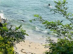 -大连金石滩滨海国家地质公园