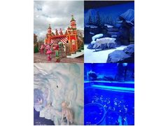 -上海海昌海洋公园