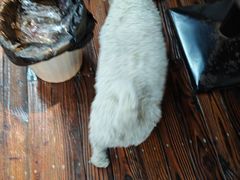 -乡乐园蟹庄·阳澄湖农家乐