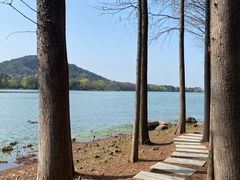 -长广溪湿地公园