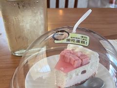 -有猫主题·治愈系猫咖(曾厝垵店)