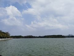 -海珠湖公园