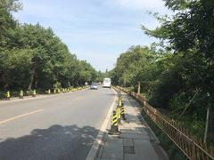 -杭州花家山庄