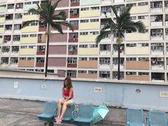 -彩虹村