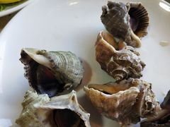 -港畔赶海蒸汽海鲜烧烤自助(仙螺岛店)