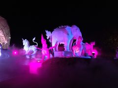 Chiang&nbsp;Mai&nbsp;Night&nbsp;Safari-清迈夜间动物园