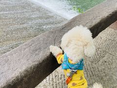 -西溪南古村落