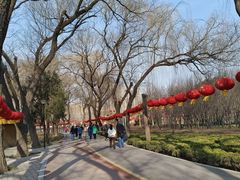 -达活泉公园