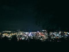 -兰山公园