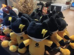 -梵猫·新养生(湛江鼎盛店)