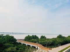 -宝安西湾红树林湿地公园