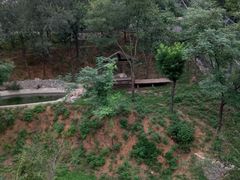 -石家庄市动物园