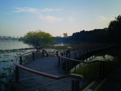-长广溪湿地公园