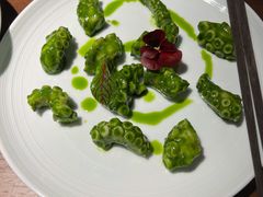 芥末青酱八爪鱼-CHIC1699远洋私厨