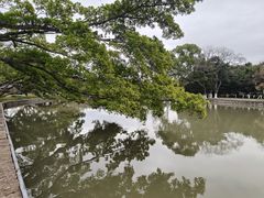 -江心屿景区