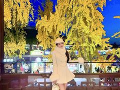 -奇芳阁·百年清真南京菜(夫子庙店)