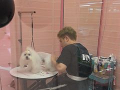 -FAELING PETS美天灵宠物(合生汇店)