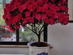-汇龙潭