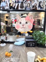 -麻林ML造型烫发染发接发