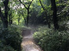 -法云安缦酒店