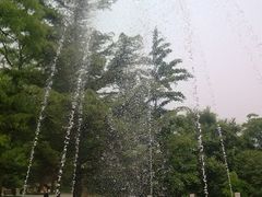 -北京鹫峰国家森林公园