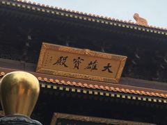 -亭林园-华藏寺