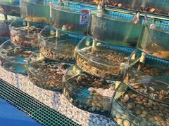 -仙螺岛海鲜自助餐厅(总店)