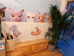 -Cappucimeow猫咪咖啡馆(韦伯时代店)