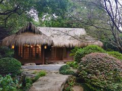 -中国茶叶博物馆(双峰馆区)