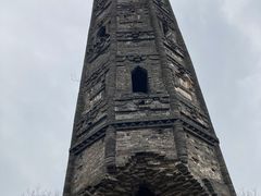 -上海佘山国家森林公园天马山园